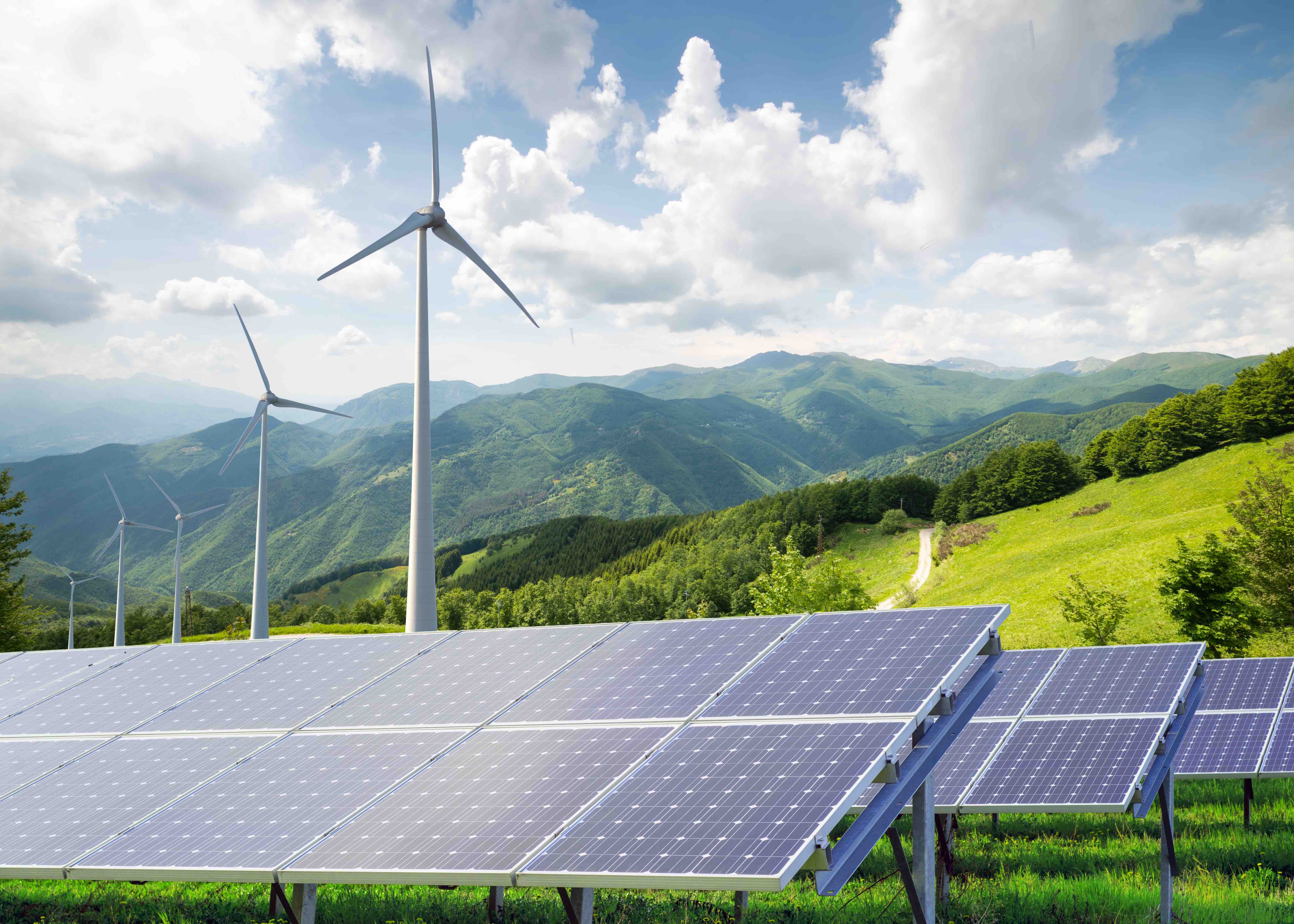 Use your STEM degree to pursue a career in renewable energy. 